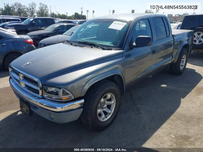 2004 Dodge Dakota Slt VIN: 1D7HL48N54S563823 Lot: 40380930