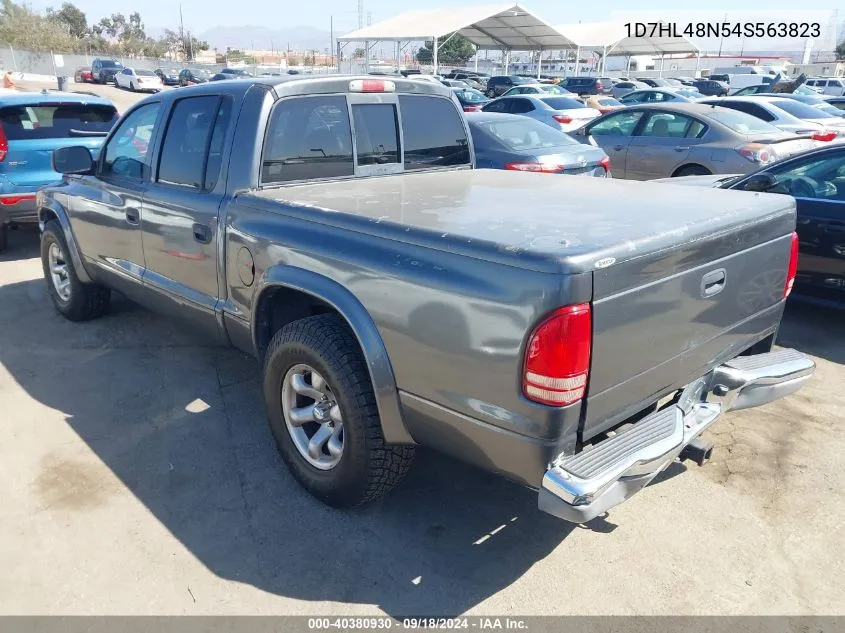 2004 Dodge Dakota Slt VIN: 1D7HL48N54S563823 Lot: 40380930