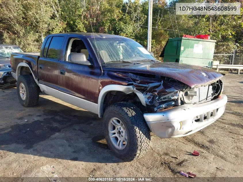 2004 Dodge Dakota Slt VIN: 1D7HG48N54S608599 Lot: 40620152