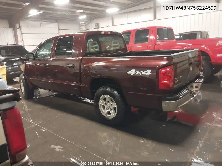 2005 Dodge Dakota Slt VIN: 1D7HW48N75S224599 Lot: 39621788