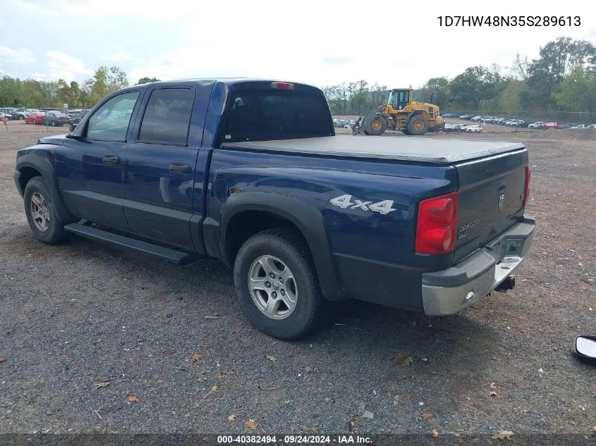 2005 Dodge Dakota Slt VIN: 1D7HW48N35S289613 Lot: 40382494