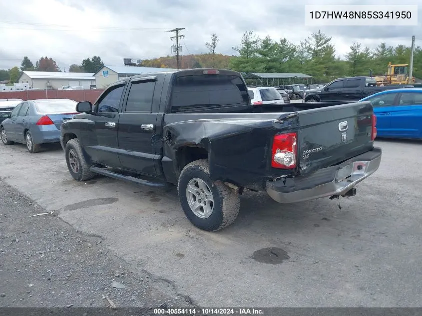 2005 Dodge Dakota Slt VIN: 1D7HW48N85S341950 Lot: 40554114