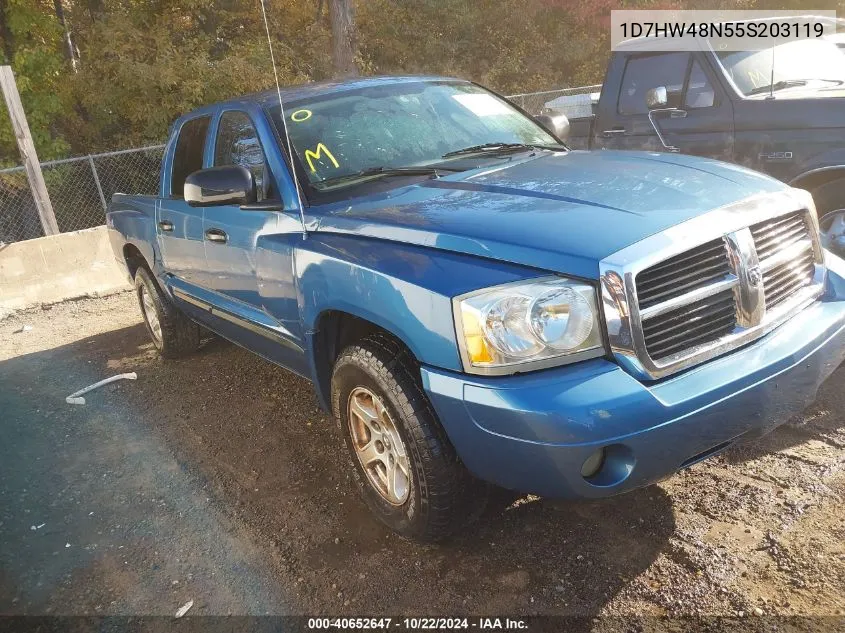 2005 Dodge Dakota Slt VIN: 1D7HW48N55S203119 Lot: 40652647