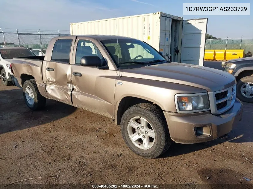 2010 Dodge Dakota Bighorn/Lonestar VIN: 1D7RW3GP1AS233729 Lot: 40485202