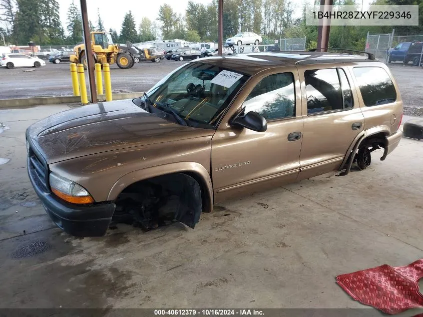 2000 Dodge Durango VIN: 1B4HR28ZXYF229346 Lot: 40612379