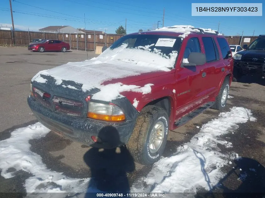 2000 Dodge Durango VIN: 1B4HS28N9YF303423 Lot: 40909748