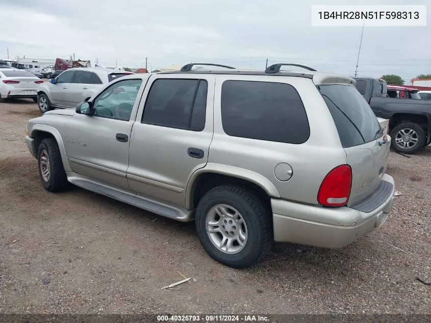 2001 Dodge Durango VIN: 1B4HR28N51F598313 Lot: 40325793