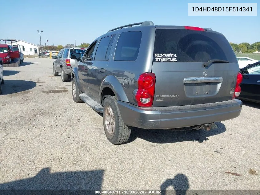 2005 Dodge Durango Slt VIN: 1D4HD48D15F514341 Lot: 40549711