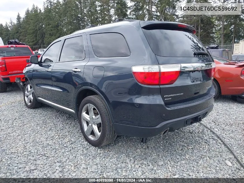 2013 Dodge Durango Citadel VIN: 1C4SDJET6DC559692 Lot: 40775390