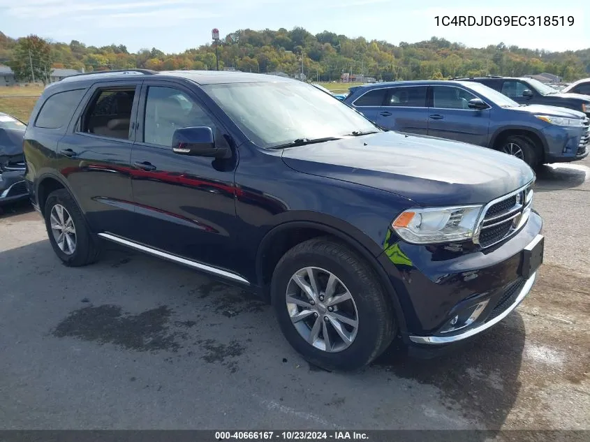 2014 Dodge Durango Limited VIN: 1C4RDJDG9EC318519 Lot: 40666167