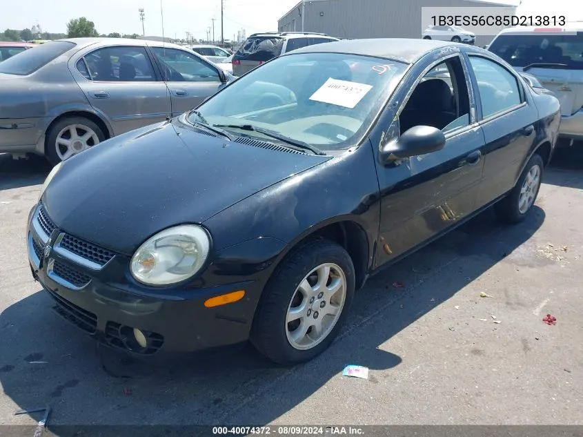 2005 Dodge Neon Sxt VIN: 1B3ES56C85D213813 Lot: 40074372