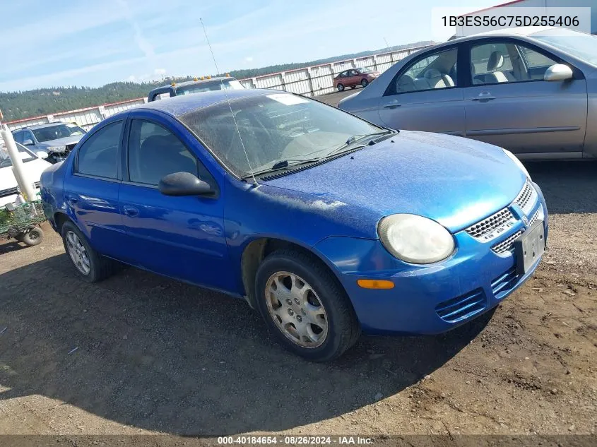 2005 Dodge Neon Sxt VIN: 1B3ES56C75D255406 Lot: 40184654