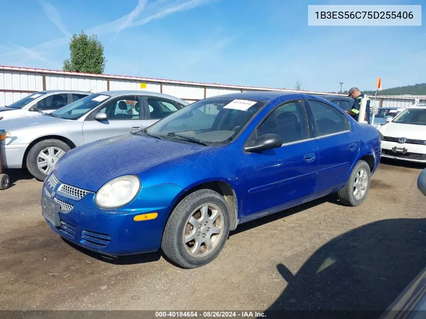 2005 Dodge Neon Sxt VIN: 1B3ES56C75D255406 Lot: 40184654