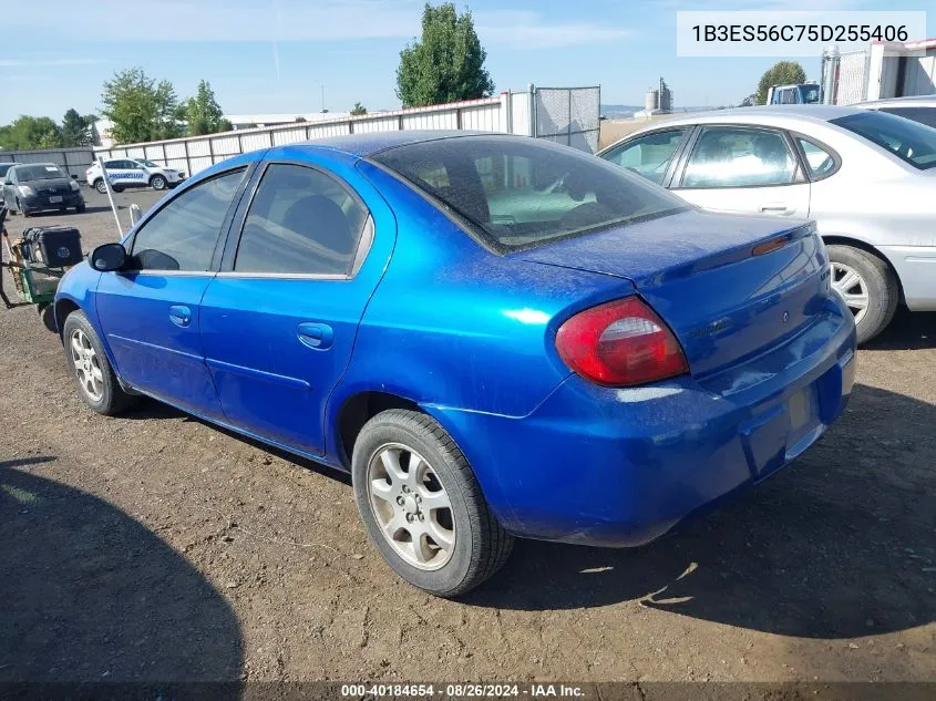 2005 Dodge Neon Sxt VIN: 1B3ES56C75D255406 Lot: 40184654