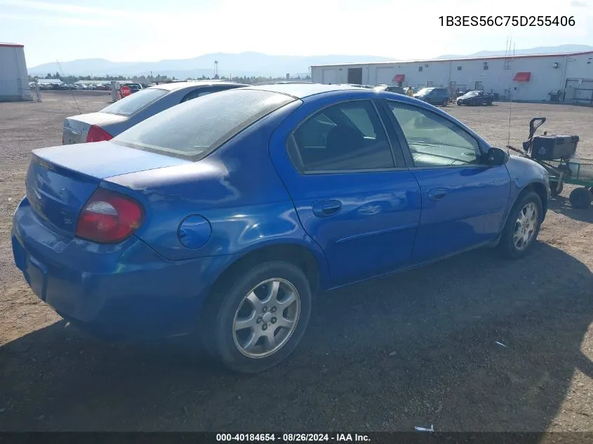 2005 Dodge Neon Sxt VIN: 1B3ES56C75D255406 Lot: 40184654