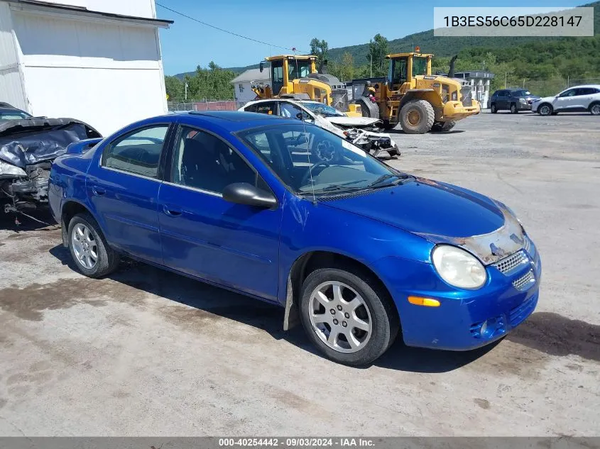 2005 Dodge Neon Sxt VIN: 1B3ES56C65D228147 Lot: 40254442