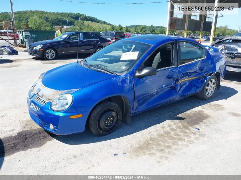 2005 Dodge Neon Sxt VIN: 1B3ES56C65D228147 Lot: 40254442