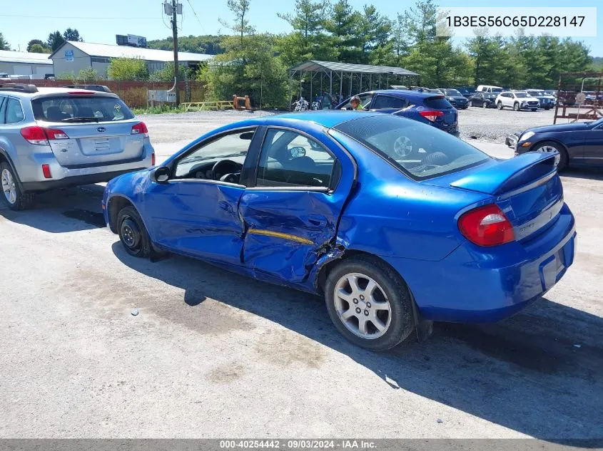 2005 Dodge Neon Sxt VIN: 1B3ES56C65D228147 Lot: 40254442