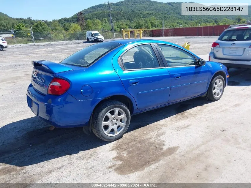 2005 Dodge Neon Sxt VIN: 1B3ES56C65D228147 Lot: 40254442