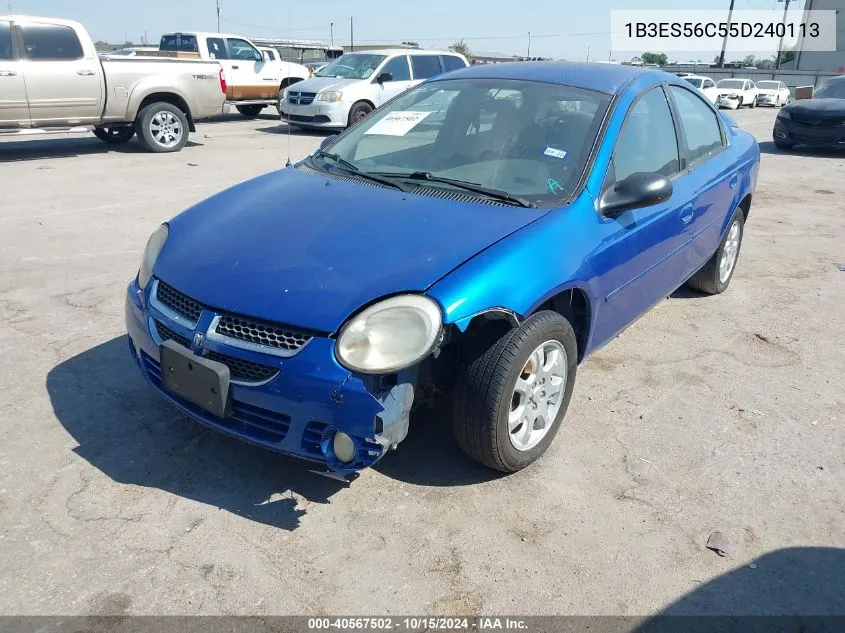 2005 Dodge Neon Sxt VIN: 1B3ES56C55D240113 Lot: 40567502