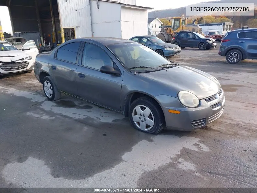 2005 Dodge Neon Se VIN: 1B3ES26C65D252706 Lot: 40743571