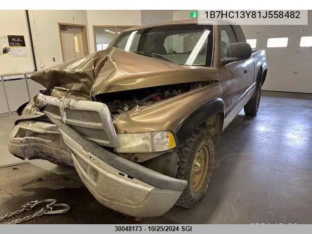 2001 Dodge Ram 1500 VIN: 1B7HC13Y81J558482 Lot: 30048173