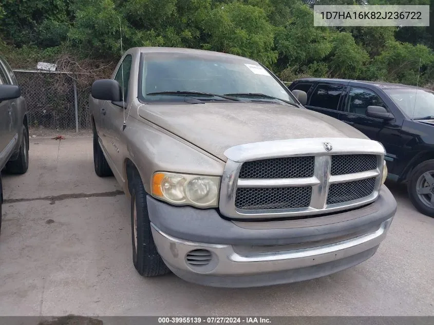 2002 Dodge Ram 1500 VIN: 1D7HA16K82J236722 Lot: 39955139