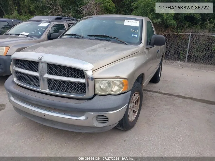 2002 Dodge Ram 1500 VIN: 1D7HA16K82J236722 Lot: 39955139