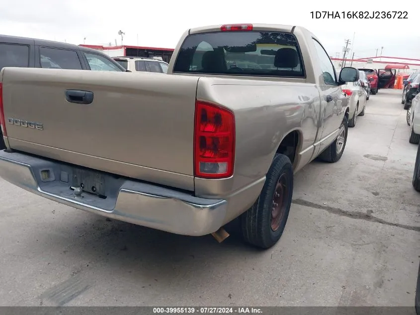 2002 Dodge Ram 1500 VIN: 1D7HA16K82J236722 Lot: 39955139