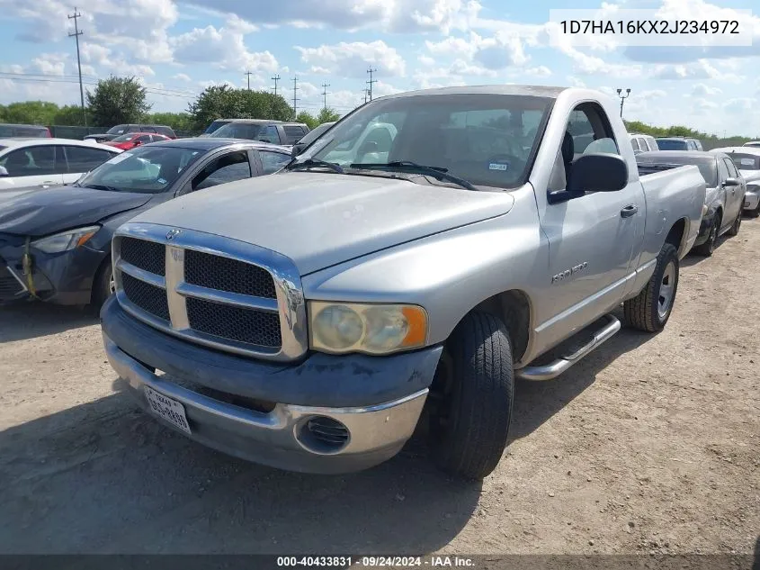 2002 Dodge Ram 1500 St VIN: 1D7HA16KX2J234972 Lot: 40433831