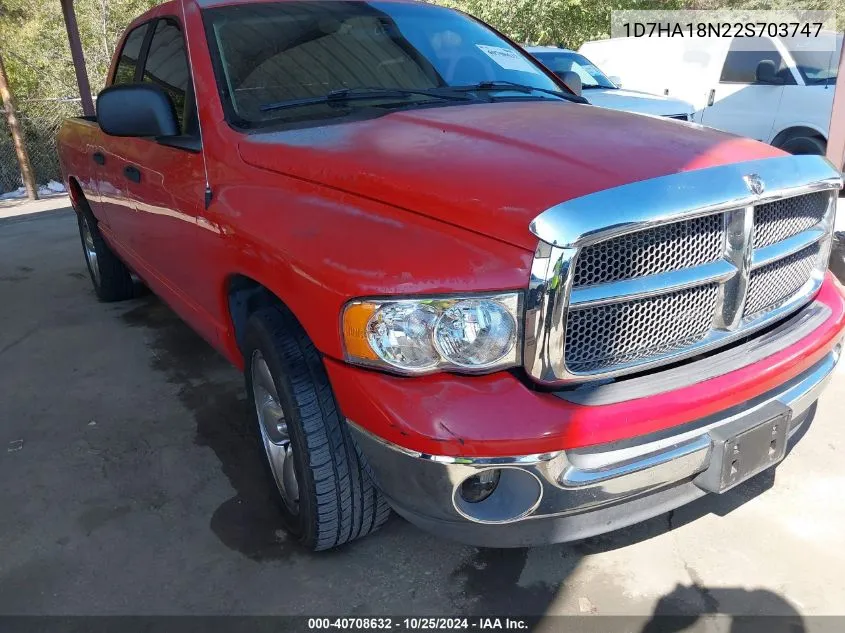 2002 Dodge Ram 1500 St VIN: 1D7HA18N22S703747 Lot: 40708632