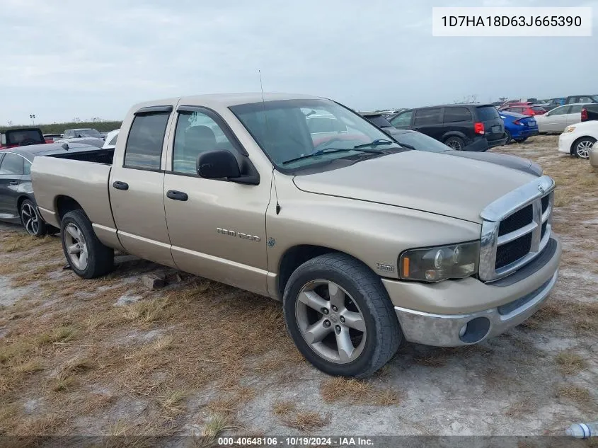 2003 Dodge Ram 1500 St/Slt VIN: 1D7HA18D63J665390 Lot: 40648106