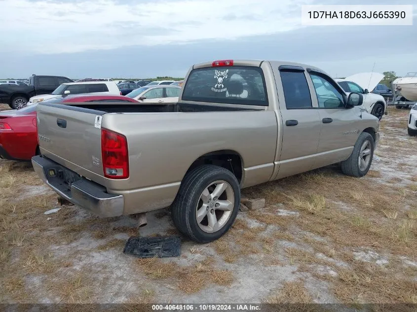 2003 Dodge Ram 1500 St/Slt VIN: 1D7HA18D63J665390 Lot: 40648106