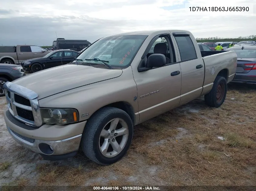 2003 Dodge Ram 1500 St/Slt VIN: 1D7HA18D63J665390 Lot: 40648106