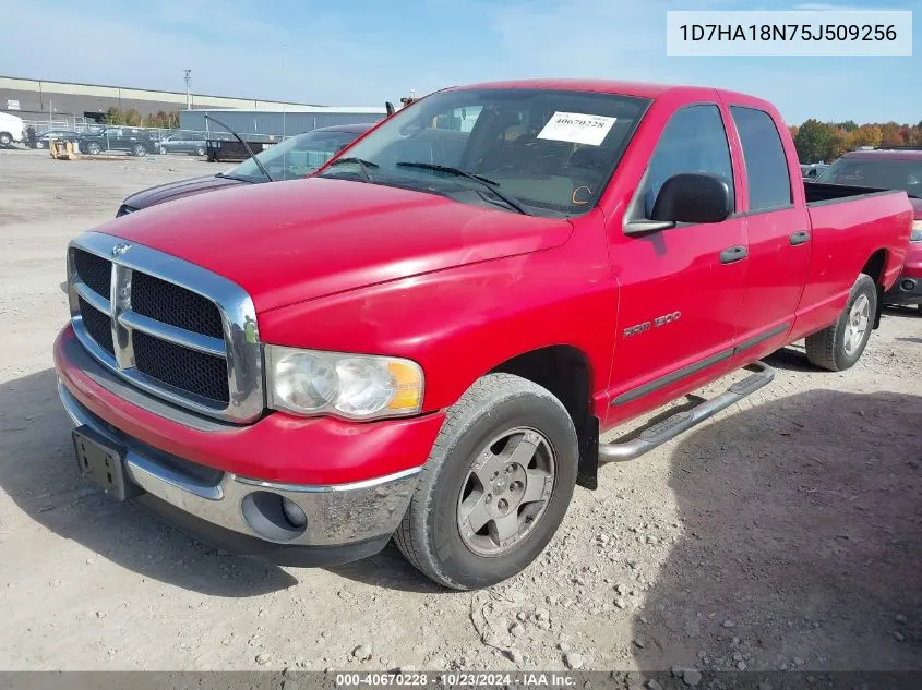 2005 Dodge Ram 1500 Slt/Laramie VIN: 1D7HA18N75J509256 Lot: 40670228