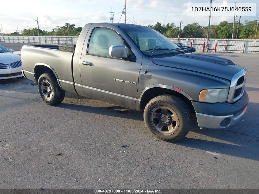 2005 Dodge Ram 1500 St VIN: 1D7HA16K75J646559 Lot: 40797008