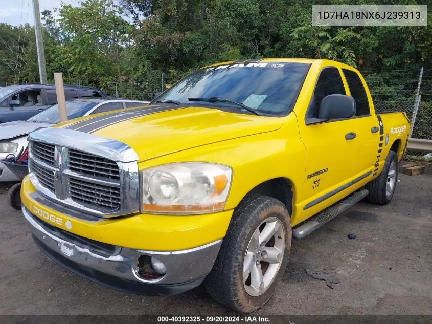 2006 Dodge Ram 1500 Slt VIN: 1D7HA18NX6J239313 Lot: 40392325