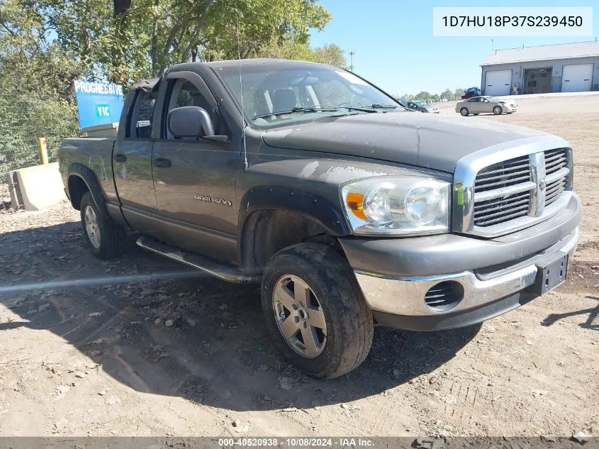 2007 Dodge Ram 1500 Slt/Trx4 Off Road/Sport VIN: 1D7HU18P37S239450 Lot: 40520938