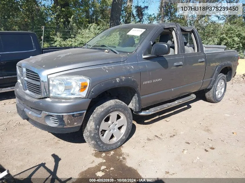 2007 Dodge Ram 1500 Slt/Trx4 Off Road/Sport VIN: 1D7HU18P37S239450 Lot: 40520938