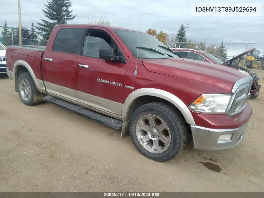 2009 Dodge Ram 1500 VIN: 1D3HV13T89J529694 Lot: 30045217