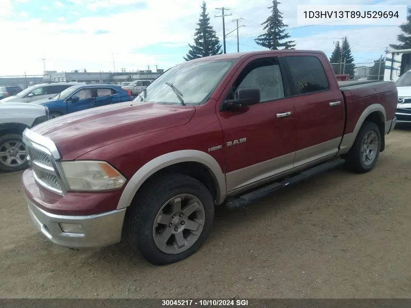 2009 Dodge Ram 1500 VIN: 1D3HV13T89J529694 Lot: 30045217