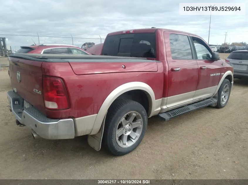 2009 Dodge Ram 1500 VIN: 1D3HV13T89J529694 Lot: 30045217