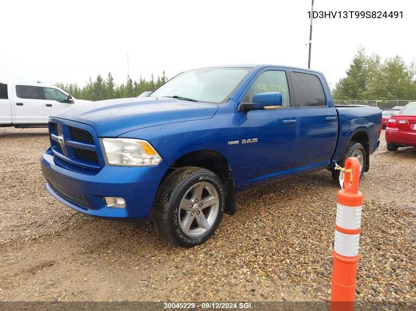 2009 Dodge Ram 1500 VIN: 1D3HV13T99S824491 Lot: 30045229