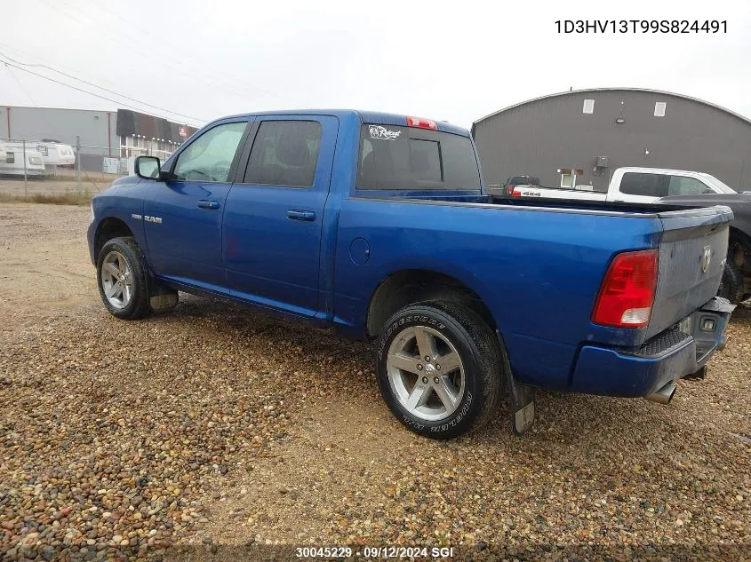 2009 Dodge Ram 1500 VIN: 1D3HV13T99S824491 Lot: 30045229