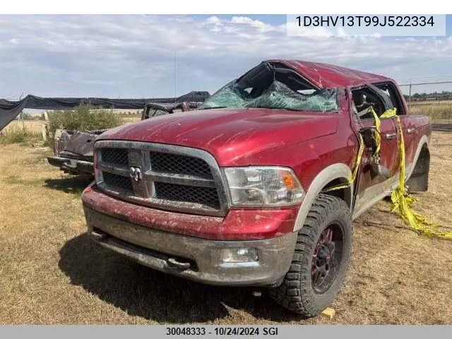 2009 Dodge Ram 1500 VIN: 1D3HV13T99J522334 Lot: 30048333