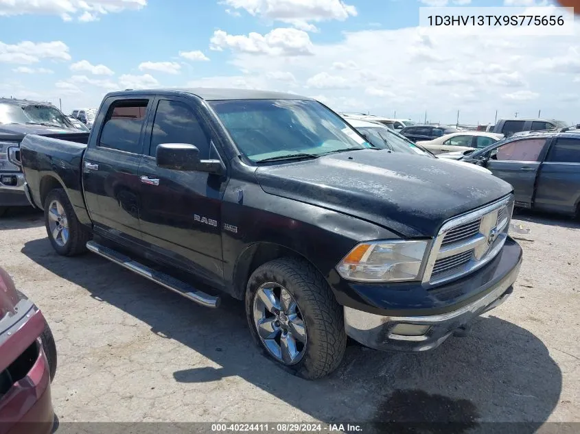 1D3HV13TX9S775656 2009 Dodge Ram 1500 Slt/Sport/Trx