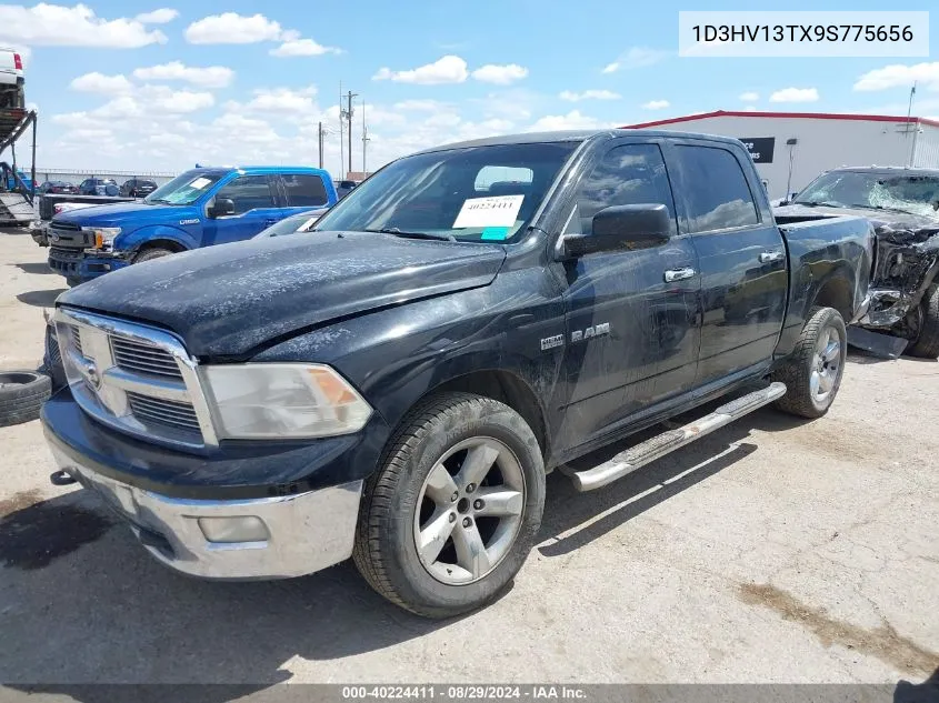 2009 Dodge Ram 1500 Slt/Sport/Trx VIN: 1D3HV13TX9S775656 Lot: 40224411