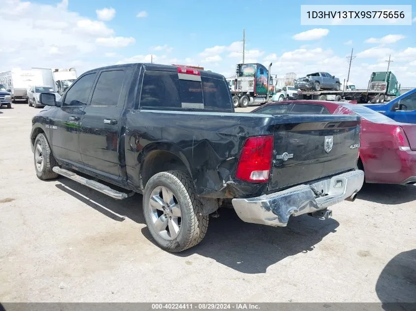 2009 Dodge Ram 1500 Slt/Sport/Trx VIN: 1D3HV13TX9S775656 Lot: 40224411