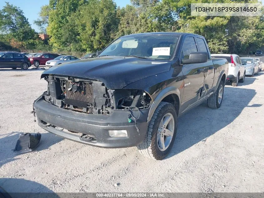 2009 Dodge Ram 1500 Slt/Sport/Trx VIN: 1D3HV18P39S814650 Lot: 40237764