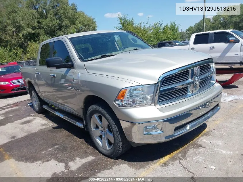 2009 Dodge Ram 1500 Slt/Sport/Trx VIN: 1D3HV13T29J513216 Lot: 40262214